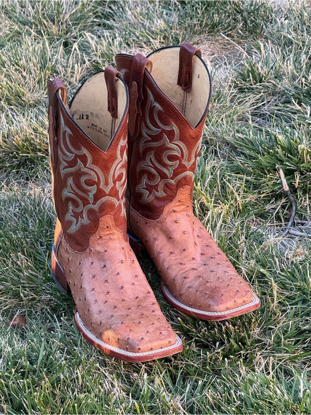 Justin Truman 11" Full Quill Ostrich Leather Western Boots in Cognac Size 11 D